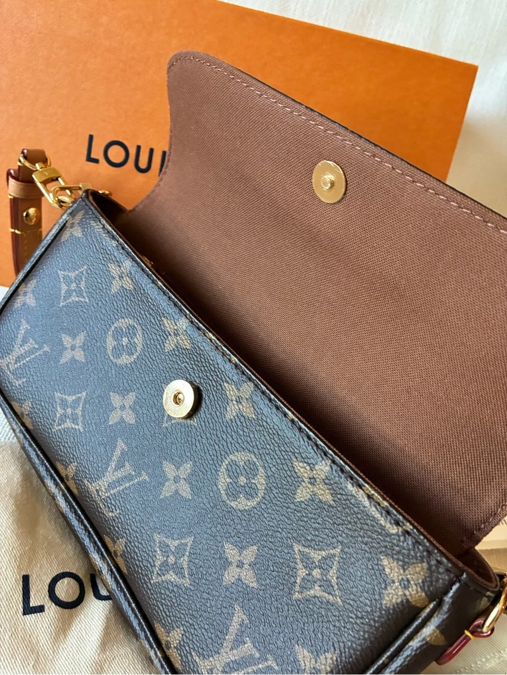 Louis Vuitton Ivy Wallet on Chain Monogram M81911